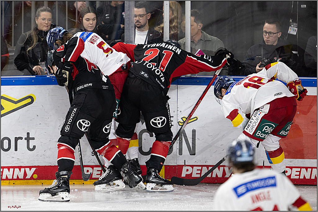 PENNY DEL 1; Kölner Haie - Düsseldorfer EG ; Köln, 16.02.2025